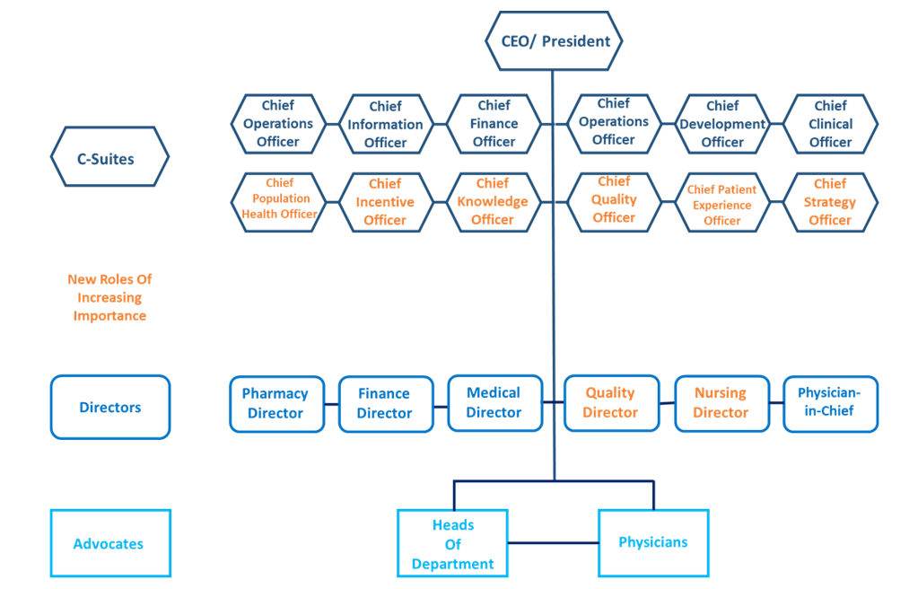 IDN stakeholder structure